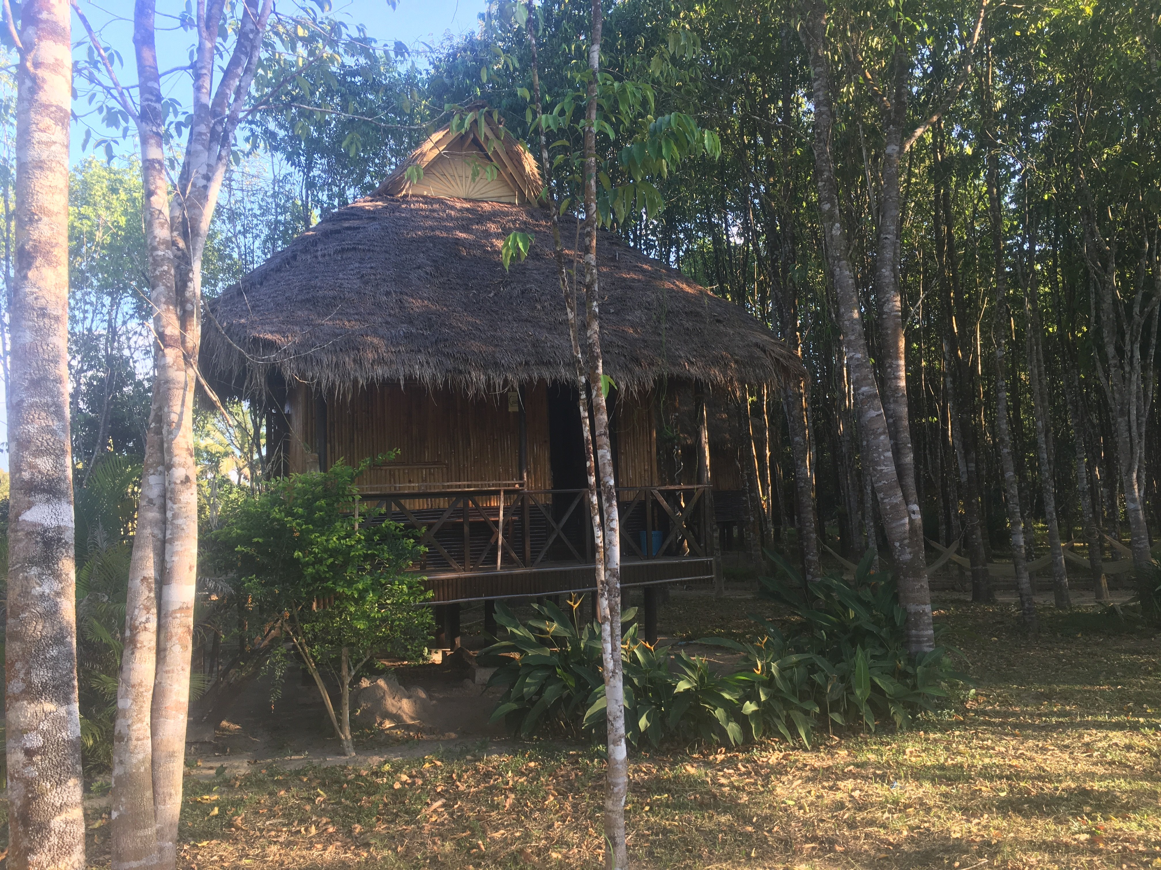 Sun Bear Bungalow-官方