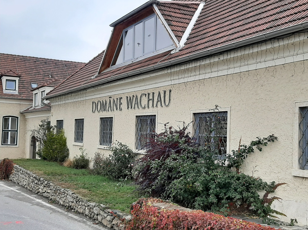 Domane Wachau Vinothek & Shop-都恩石必去景点