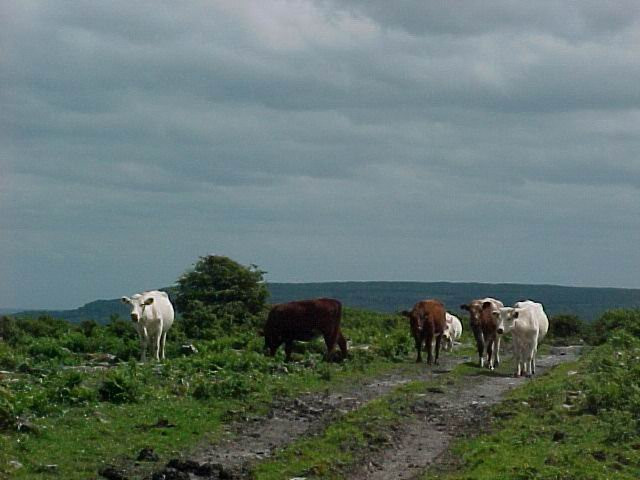 Burren way-Liscannor必去景点