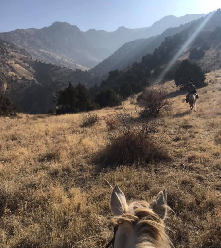 Urtsadzor旅游攻略图片