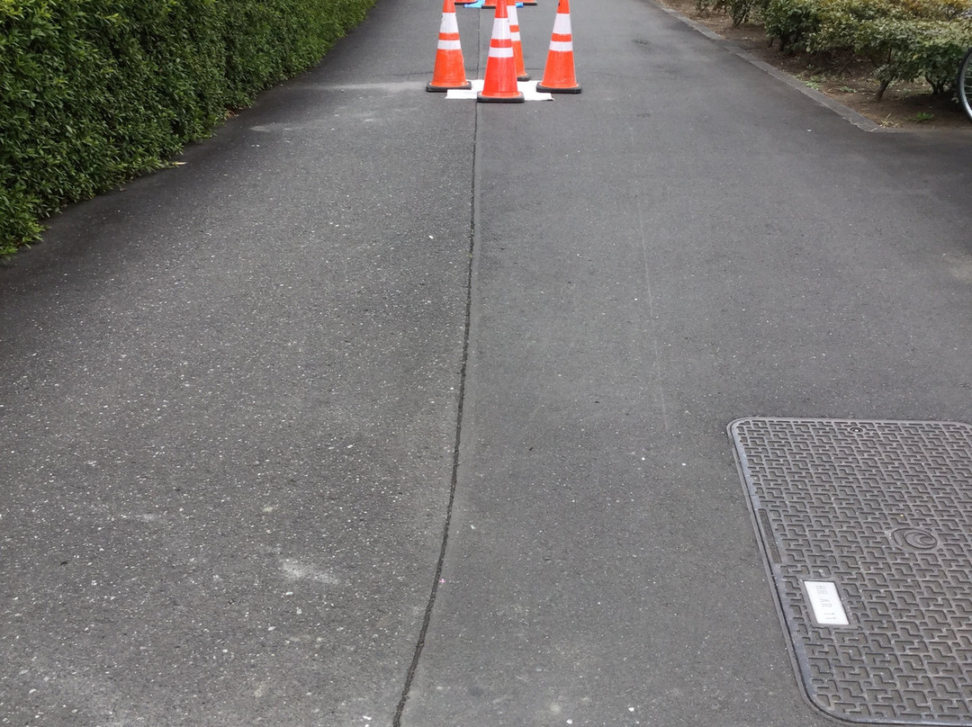 Nihonium Avenue-和光市必去景点