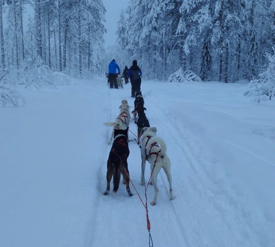 拉普兰探索之旅（罗瓦涅米）-罗瓦涅米必去景点