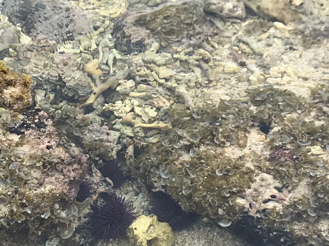 弗利康弗拉克海滩-弗力克昂弗雷克必去景点