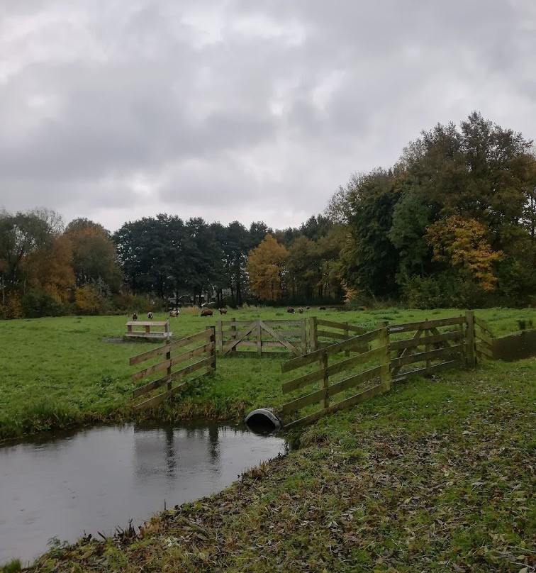 Landgoed Bredius Park-Woerden必去景点