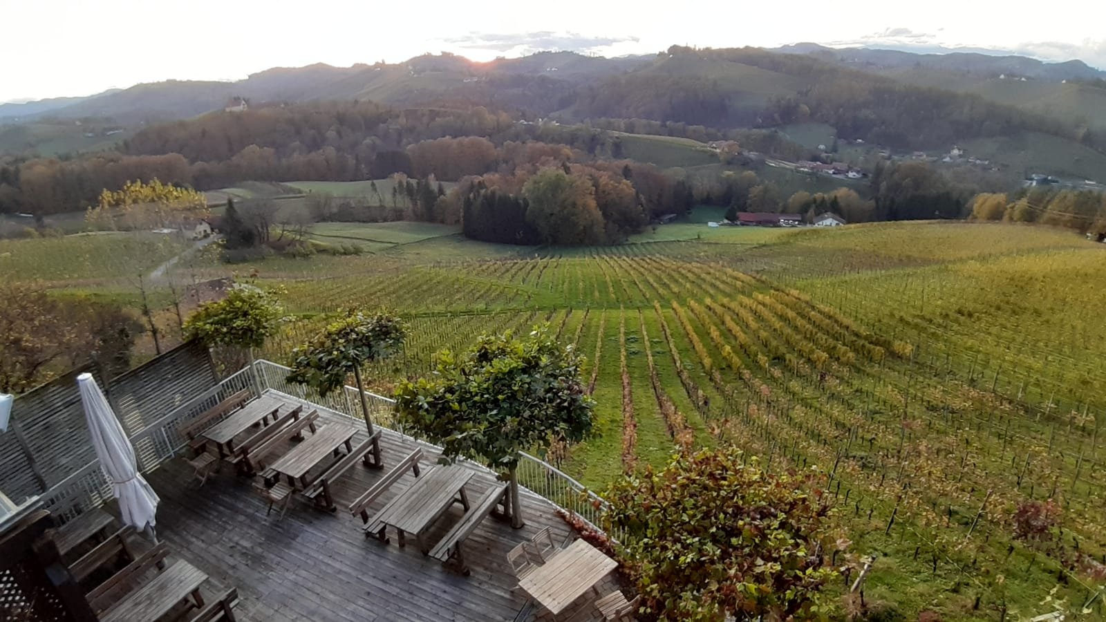 Weingut Skoff-酒店景观