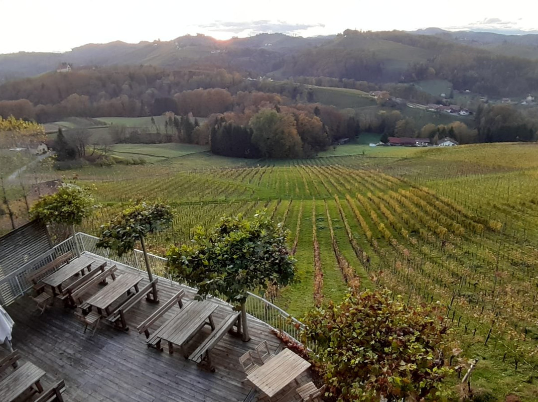 Weingut Skoff主图