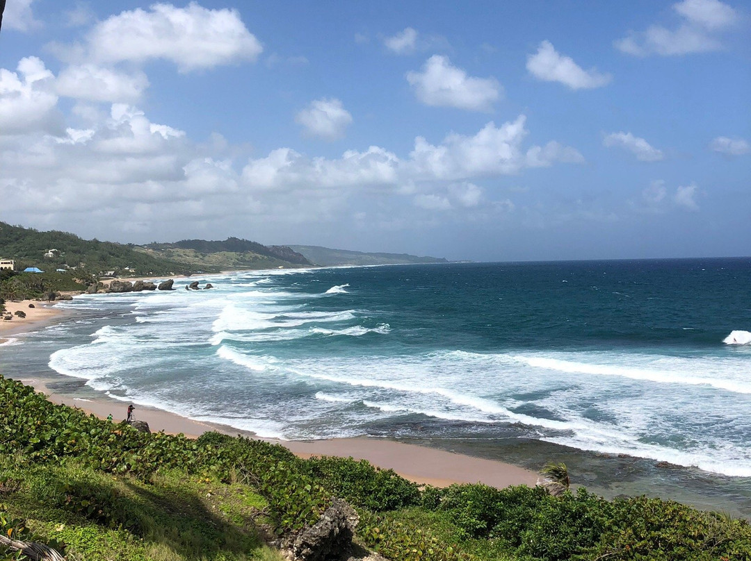 Soup Bowl-Bathsheba必去景点