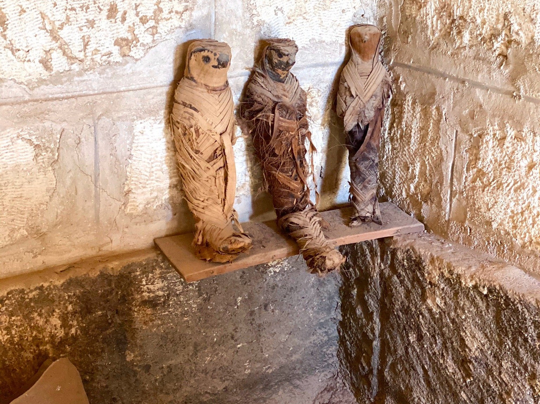 Tuna el-Gebel-Mallawi必去景点