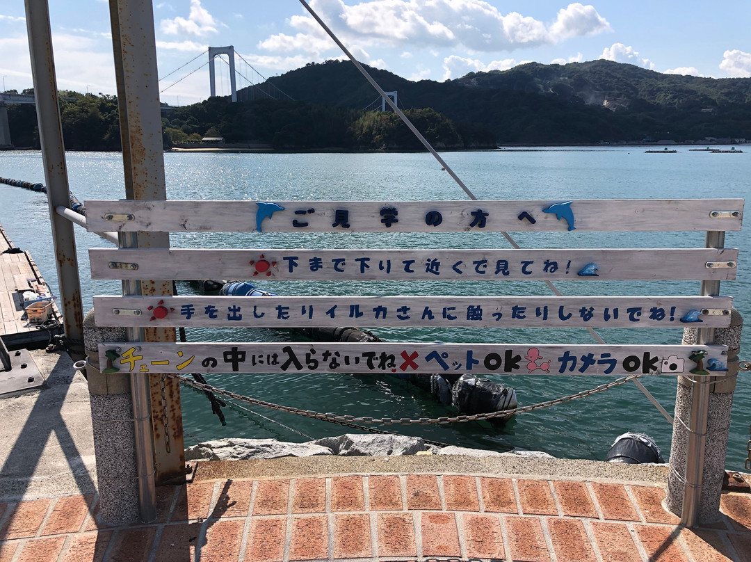 Shimanami Dolphin Farm-今治市必去景点