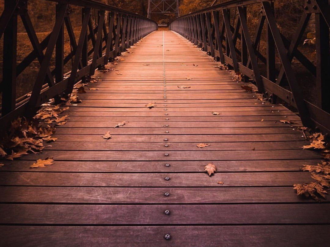 Brandywine Park-威尔明顿必去景点