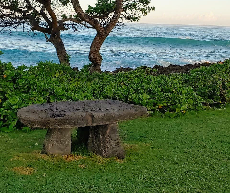 Turtle Bay Beach景点图片