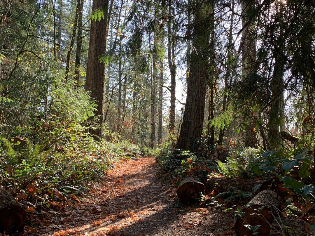 Nolte State Park-Enumclaw必去景点