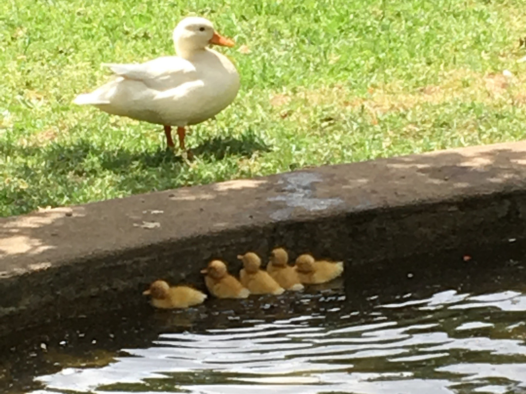 乡村博物馆-斯泰伦博斯必去景点