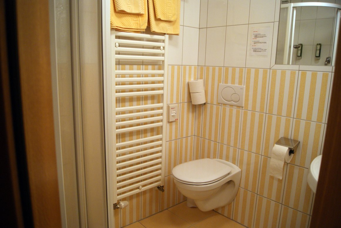 DAS Hintersee-浴室