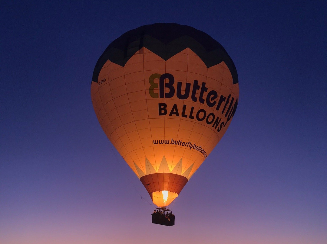 Butterfly Balloons景点图片