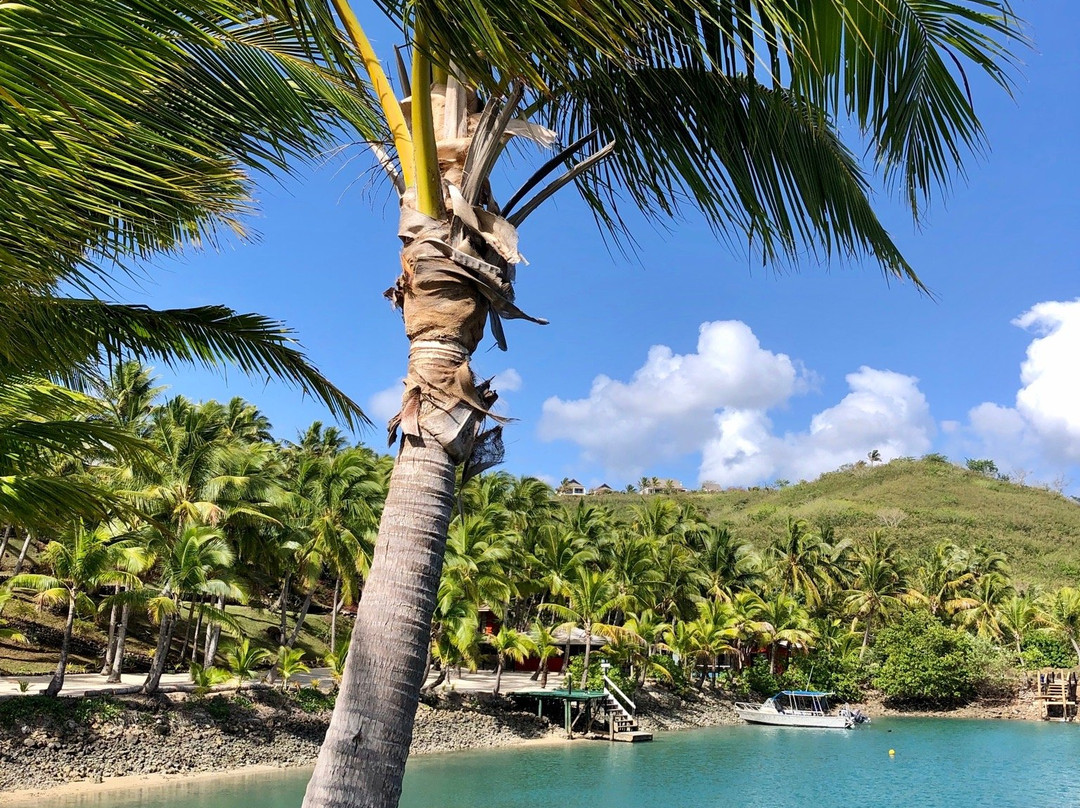 Dive Wananavu-拉奇拉奇必去景点