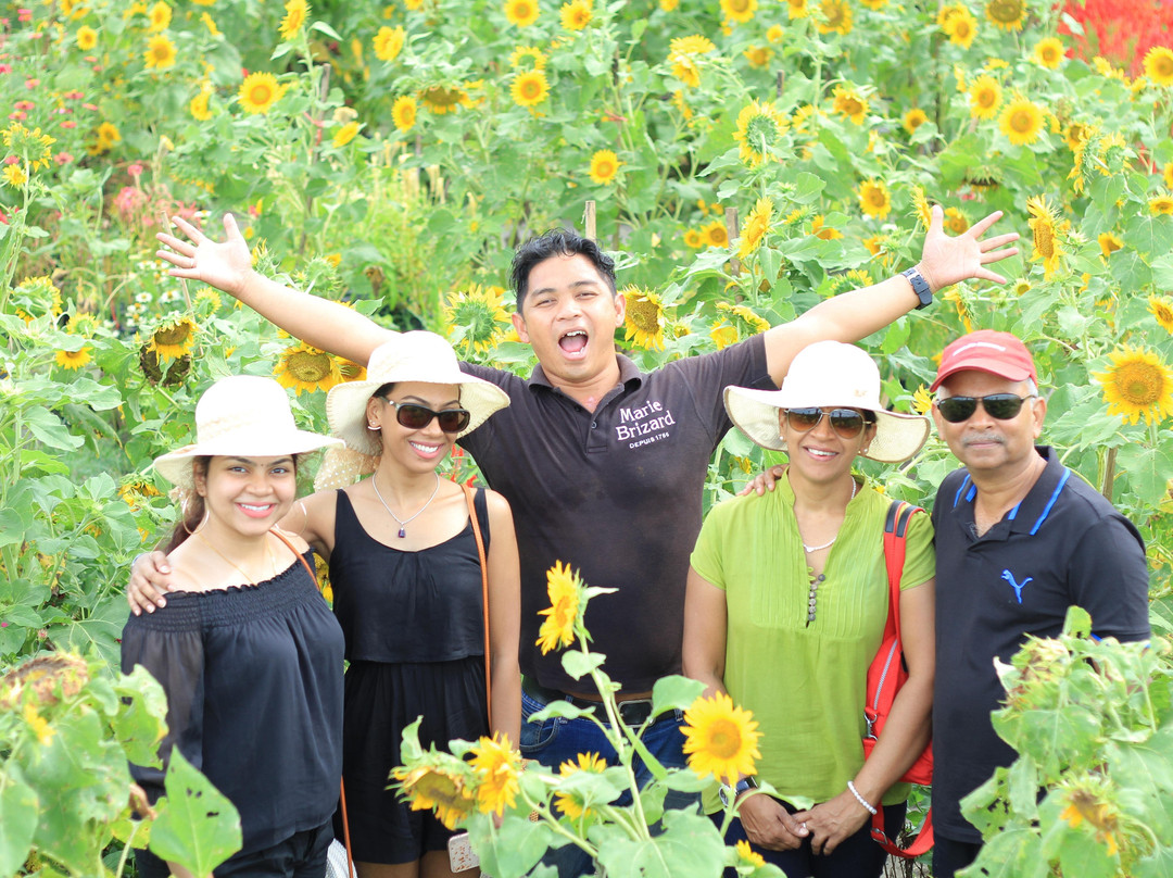 Asmaradhana Borobudur Tours-Yogyakarta必去景点