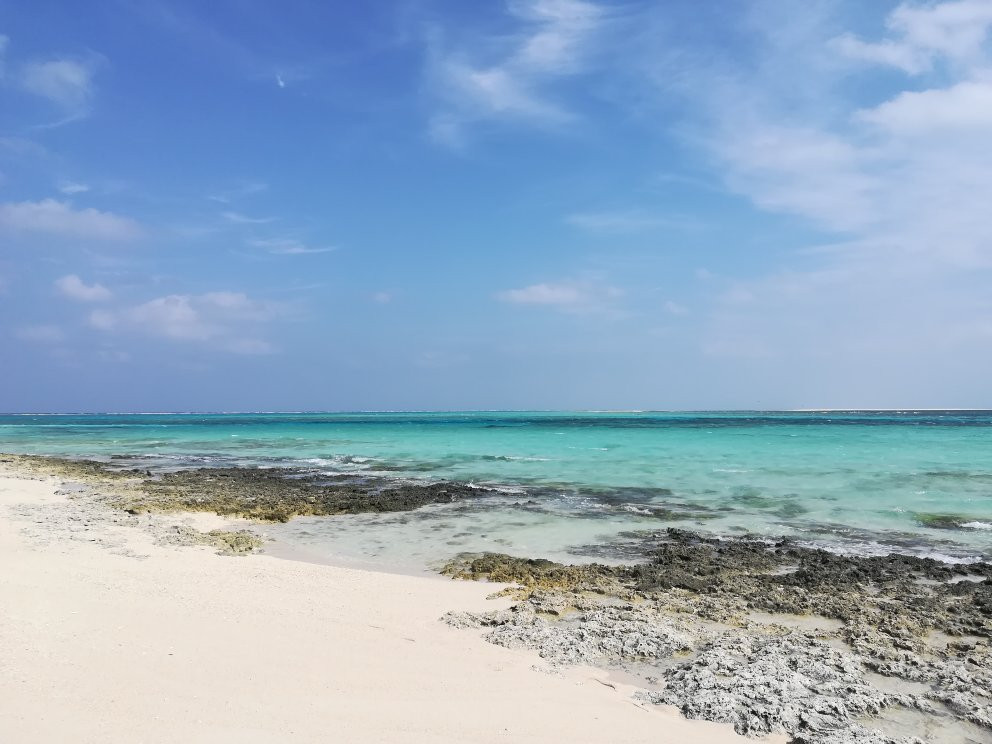 Bird Island景点图片