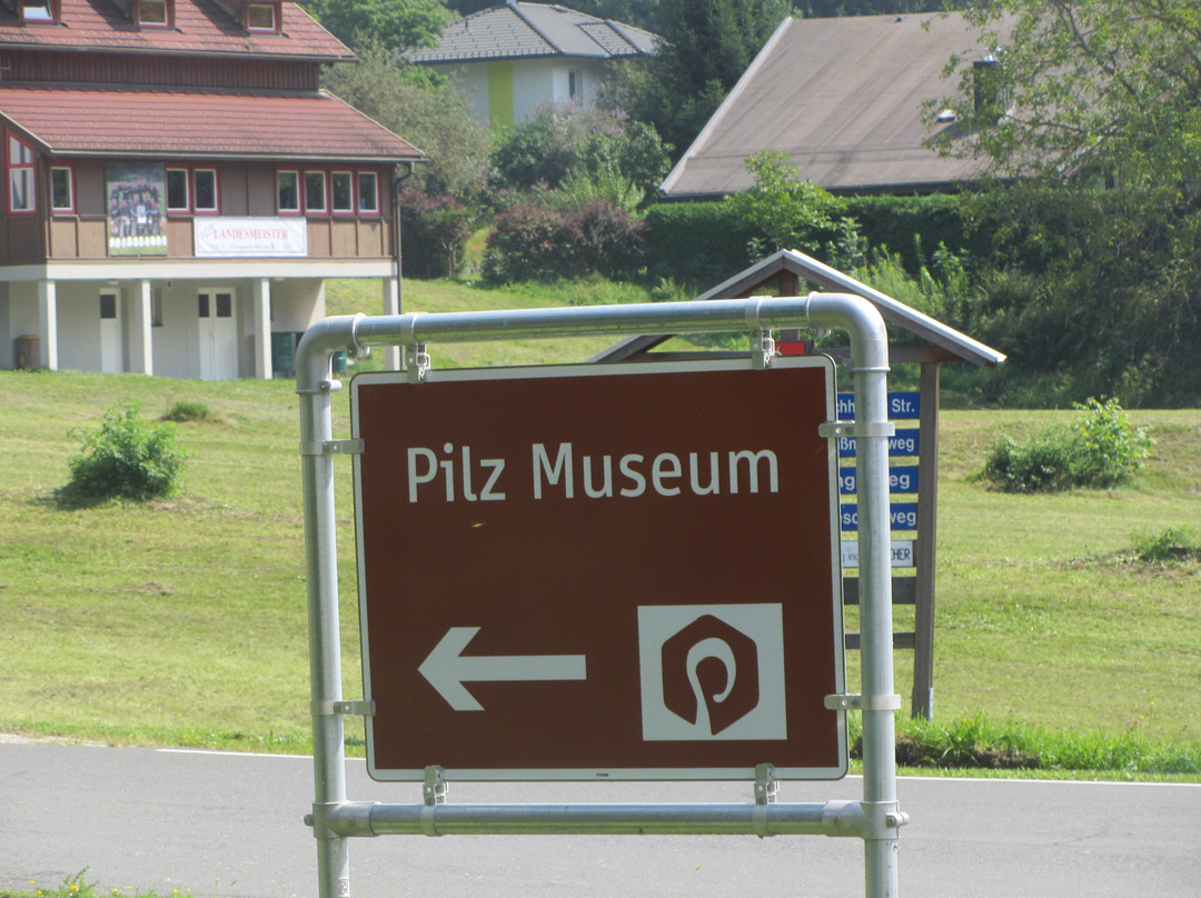 Mushroom Museum-Treffen必去景点