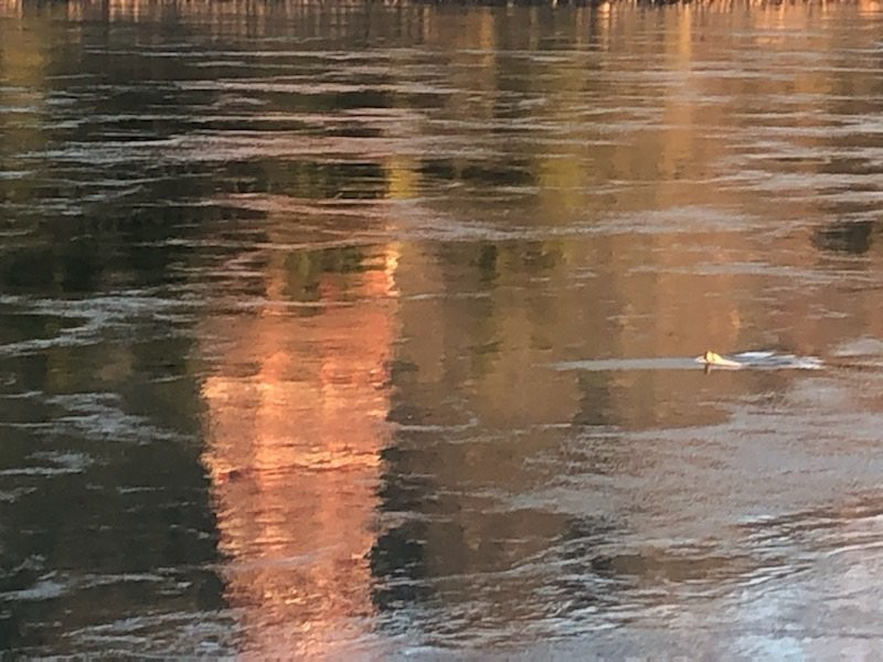 Beacon Rock-North Bonneville必去景点