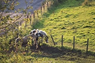 Lochinvar Guest House主图