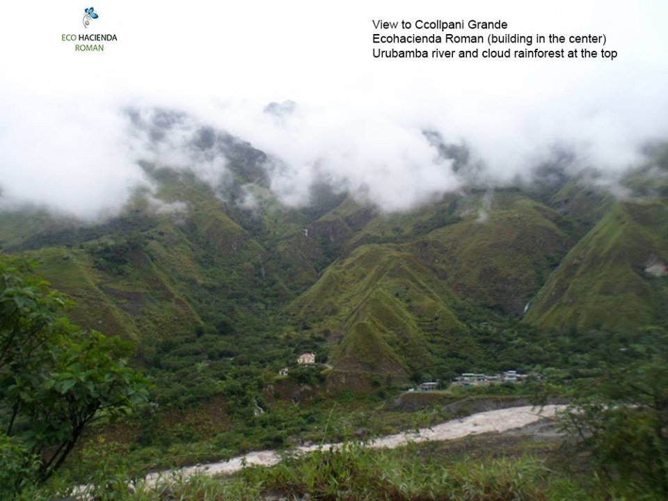 Eco Hacienda Roman主图