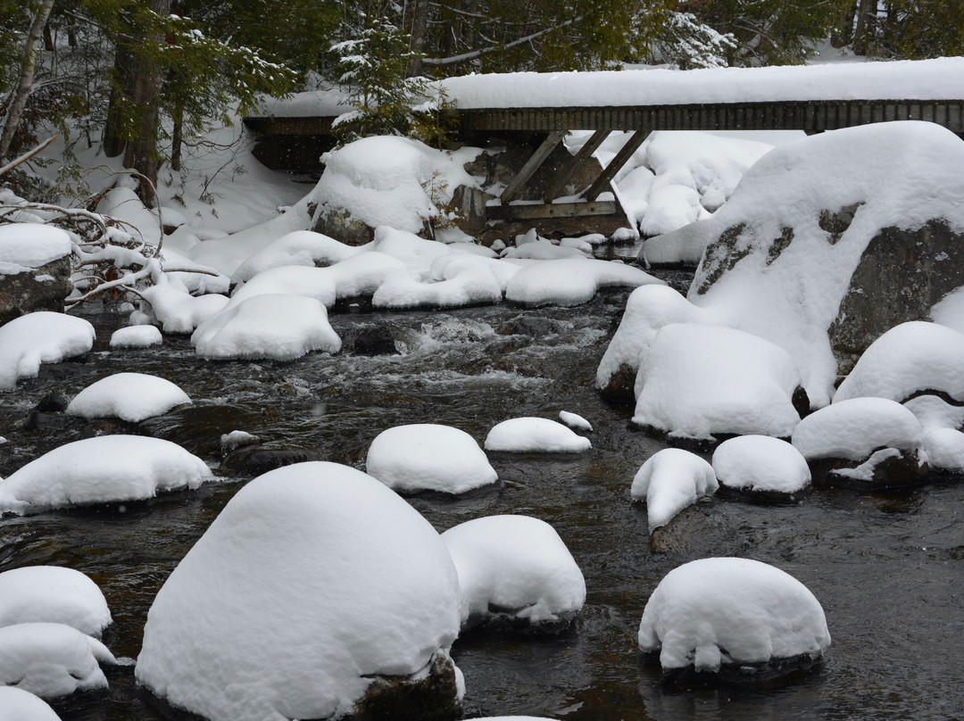 Brewster Peninsula Nature Trails景点图片