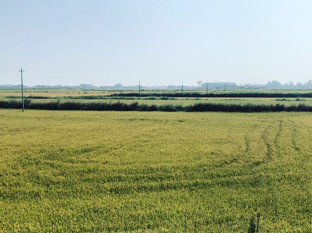 Langosco旅游攻略图片