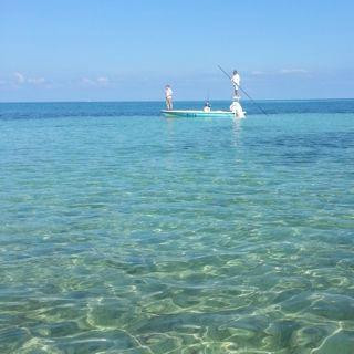 Jump Dem Bones Flyfishing-汉密尔顿必去景点