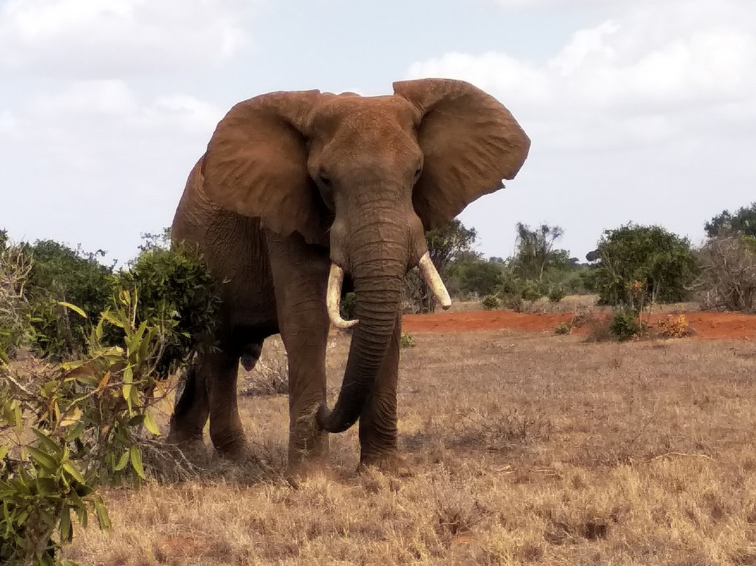 Eco Borders Safaris-马林地必去景点