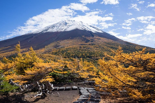 冨士エコツアー・サービス-富士河口湖町必去景点
