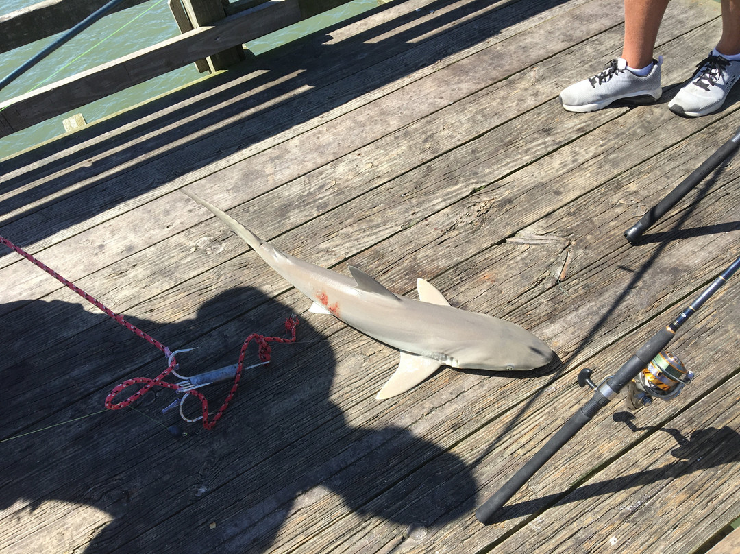 Holden Beach Fishing Pier景点图片