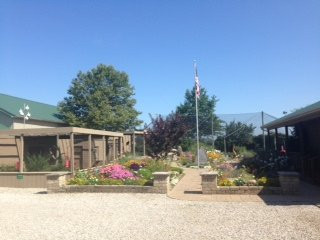 Flat Rock旅游景点-Back to the Wild