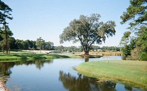 Oyster Bay Golf Links景点图片