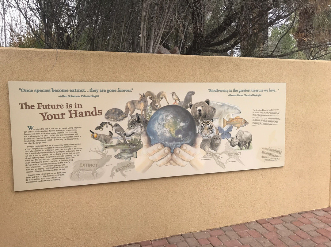 Moapa Valley National Wildlife Refuge