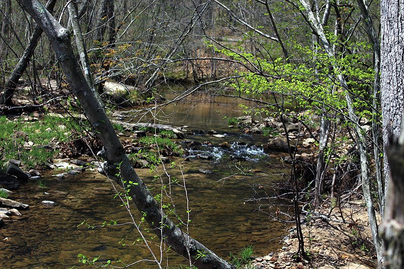 Hawn State Park-Sainte Genevieve必去景点