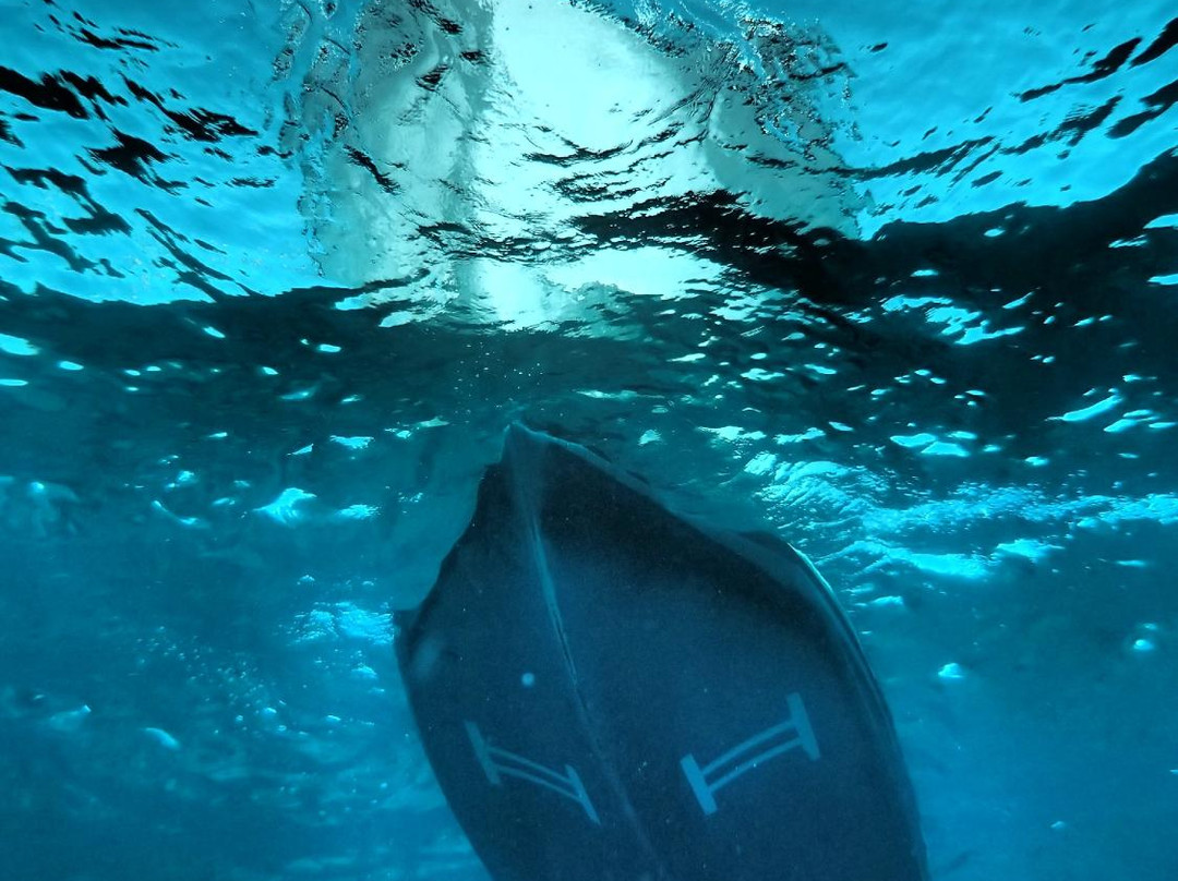 Quiescence Diving Services-拉哥岛必去景点