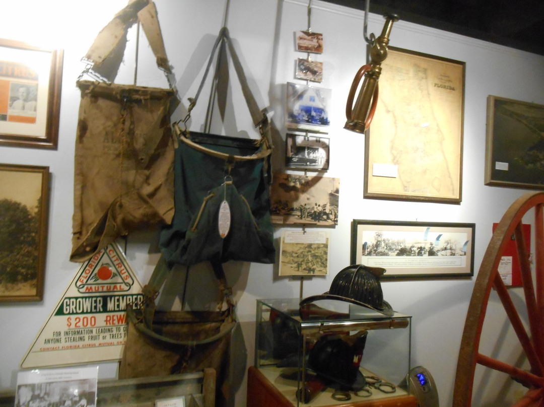 Mount Dora Historical Society Museum景点图片