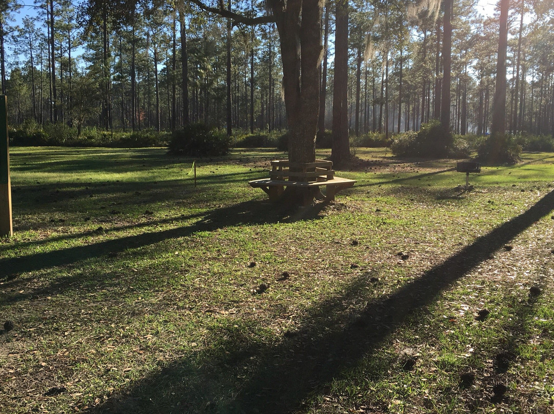 Cary State Forest景点图片