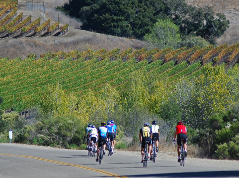 Santa Barbara Wine Country Cycling Tours-索尔万必去景点