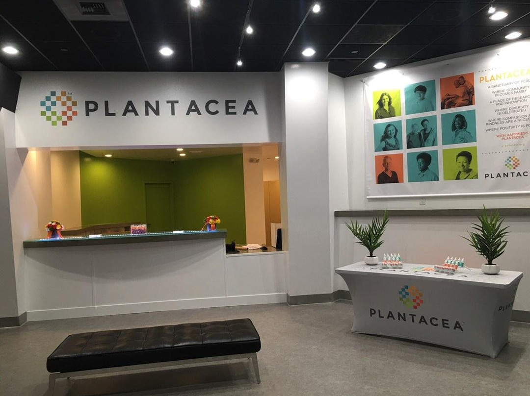 Plantacea