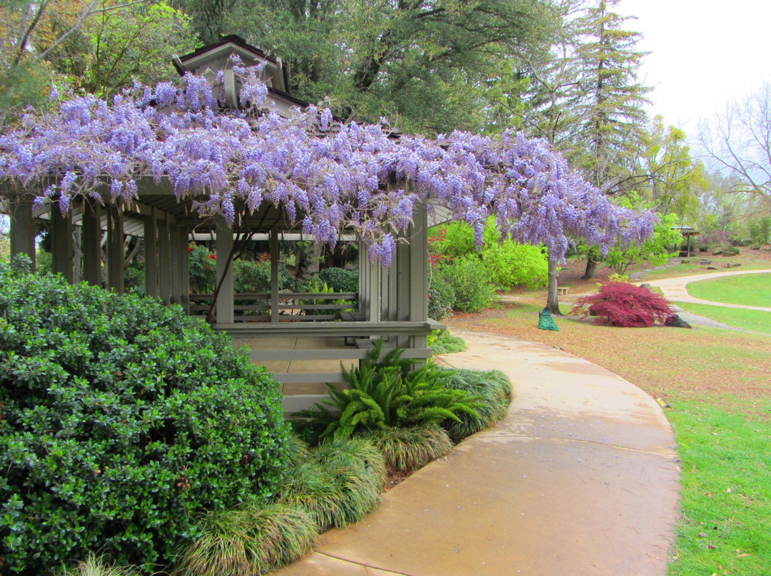 Shinzen Japanese Garden景点图片