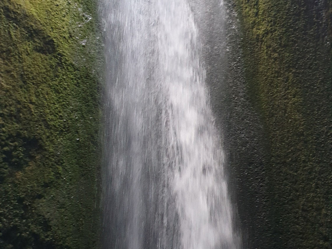 Nauthusagil Waterfall景点图片