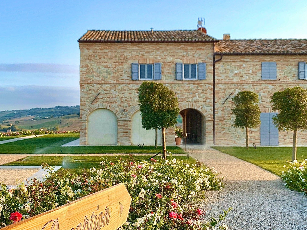 Villa Angela Country House主图