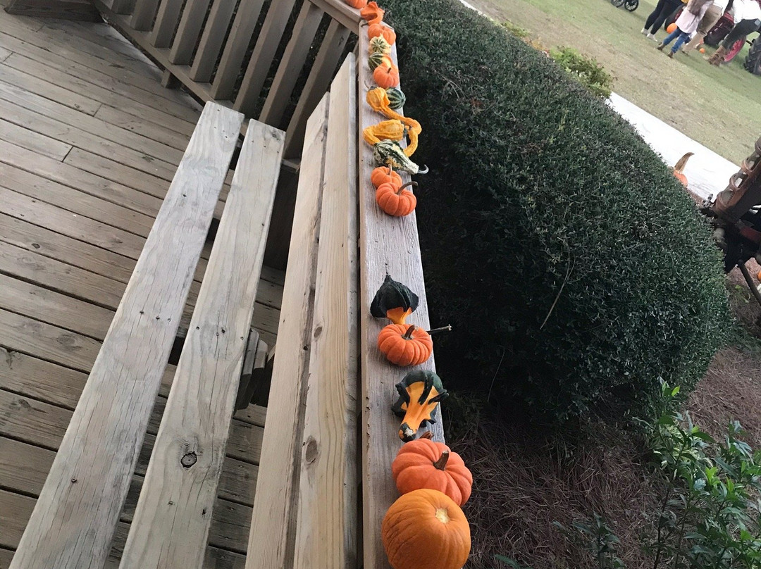 Mike's Farm-Beulaville必去景点