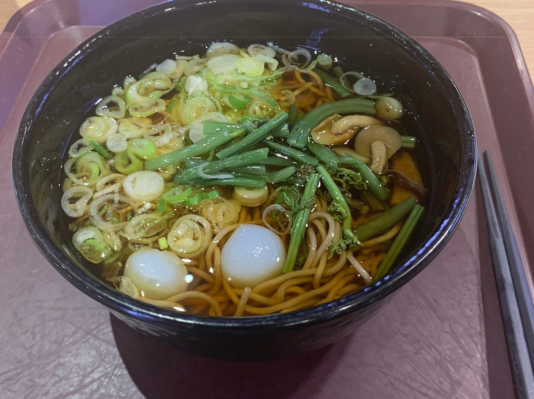 Yokokawa Service Area Inbound-安中市必去景点