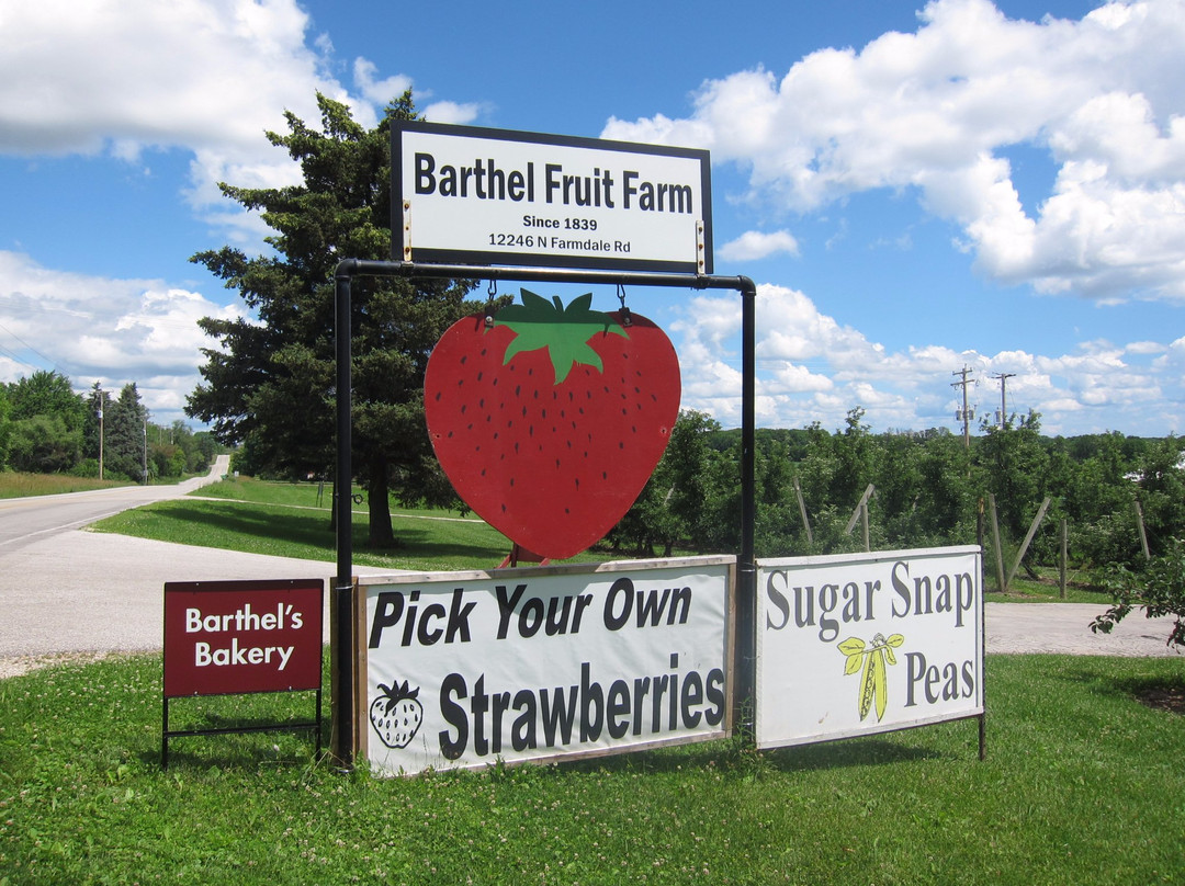 Barthel Fruit Farm景点图片