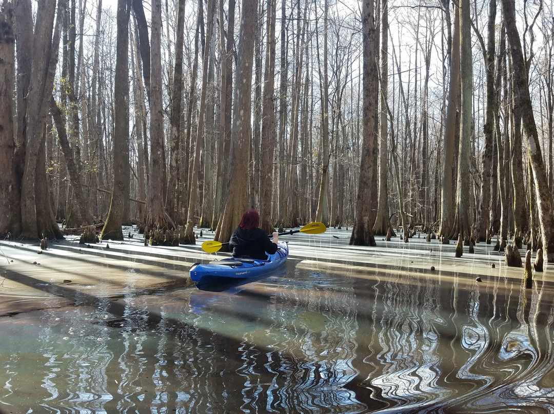 Charleston Kayak Company景点图片