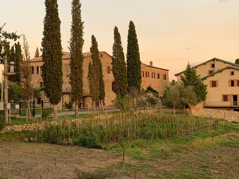 Tenuta Il Santo主图