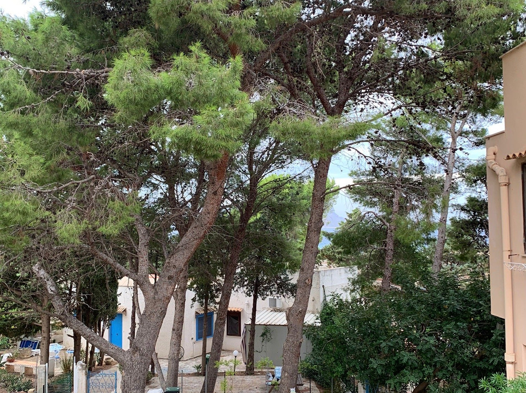 Villa Il Carrubo主图